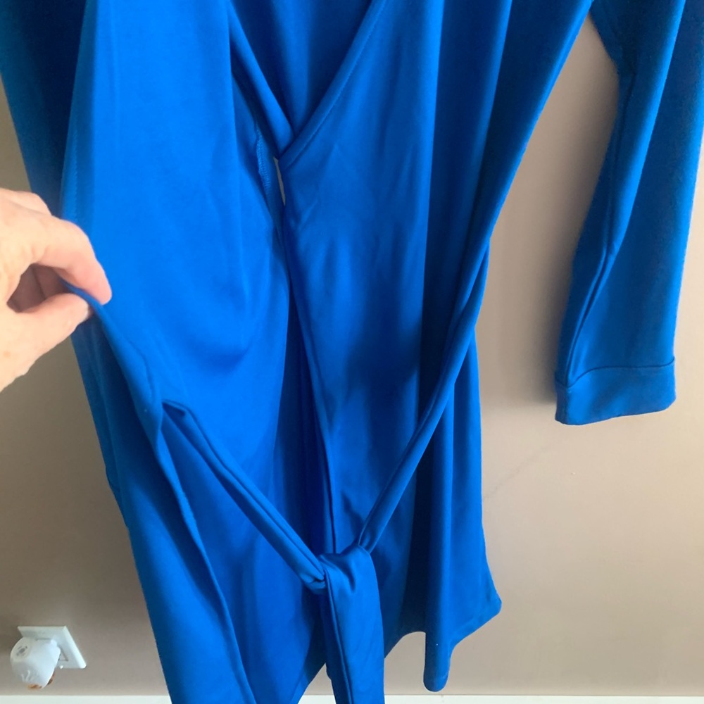 Express Wrap Dress - Picture 5 of 6